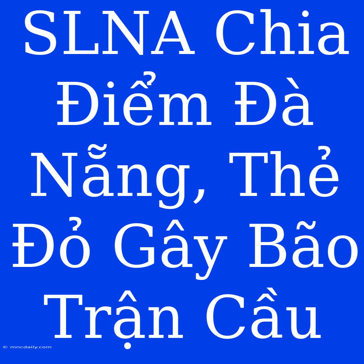 SLNA Chia Điểm Đà Nẵng, Thẻ Đỏ Gây Bão Trận Cầu