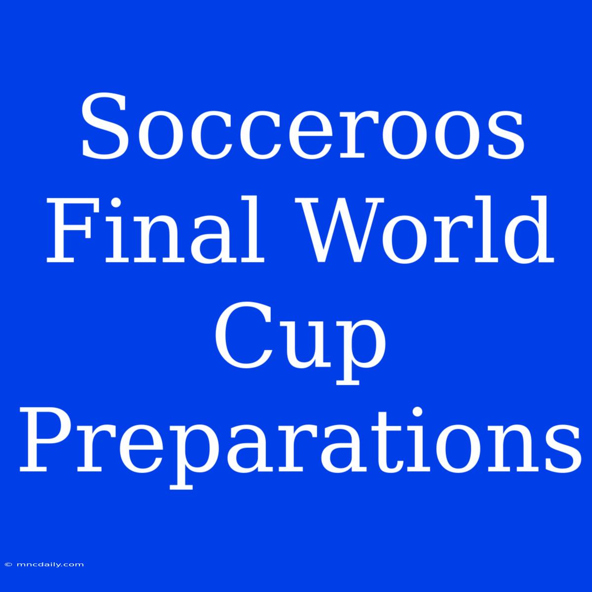 Socceroos Final World Cup Preparations