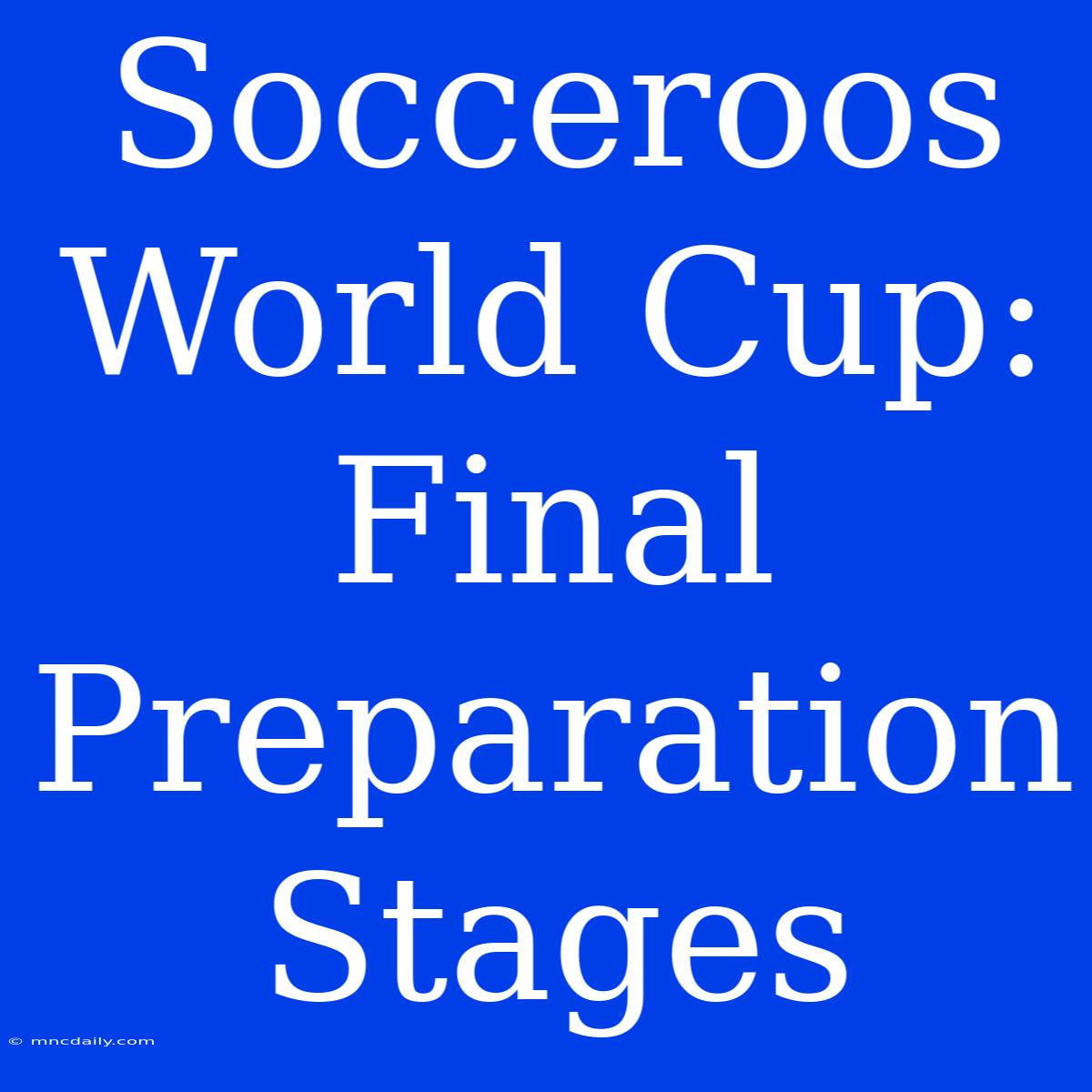 Socceroos World Cup: Final Preparation Stages