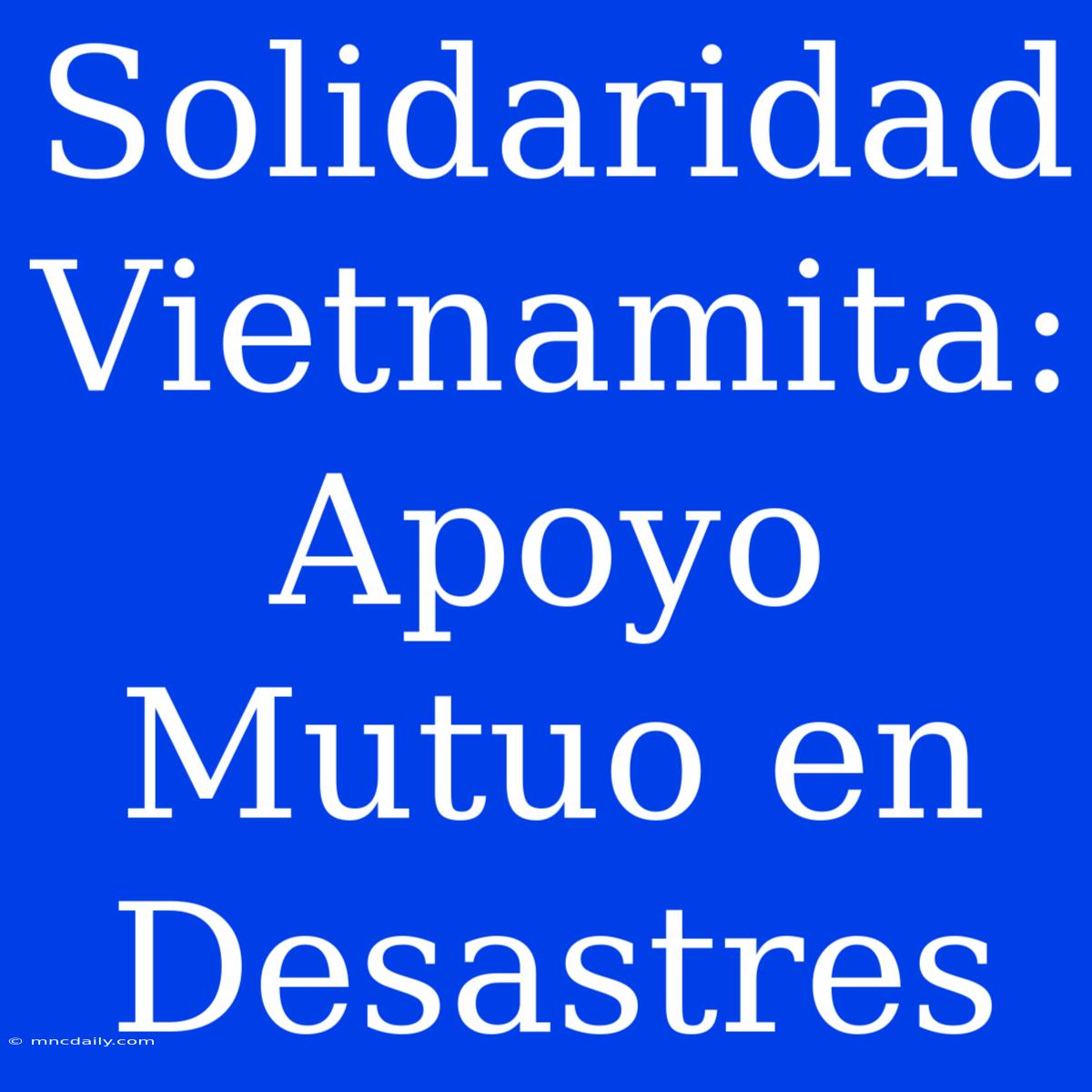 Solidaridad Vietnamita: Apoyo Mutuo En Desastres