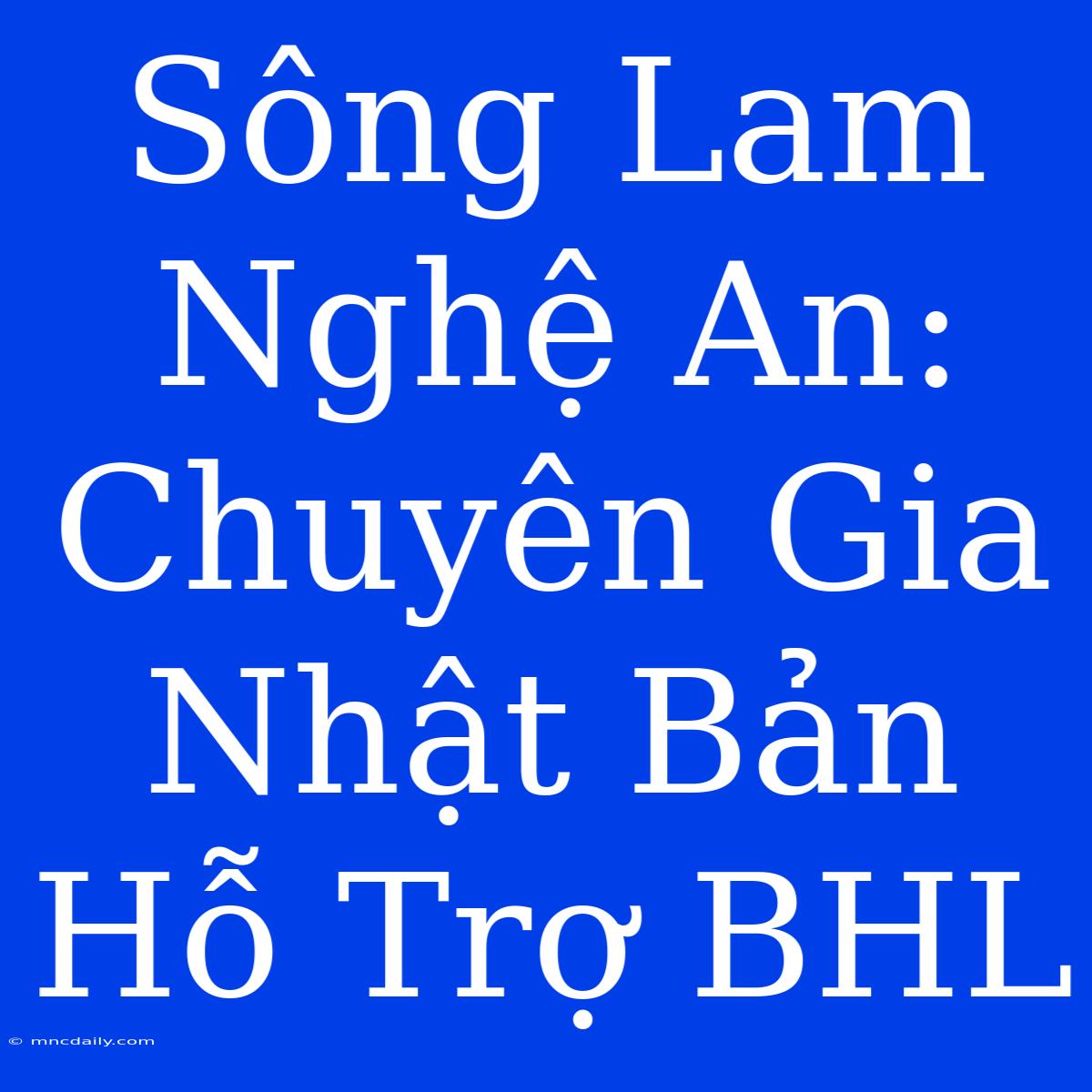 Sông Lam Nghệ An: Chuyên Gia Nhật Bản Hỗ Trợ BHL