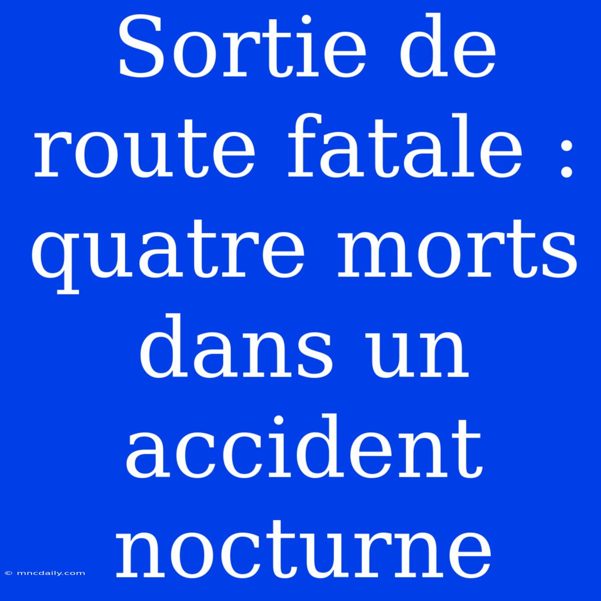 Sortie De Route Fatale : Quatre Morts Dans Un Accident Nocturne