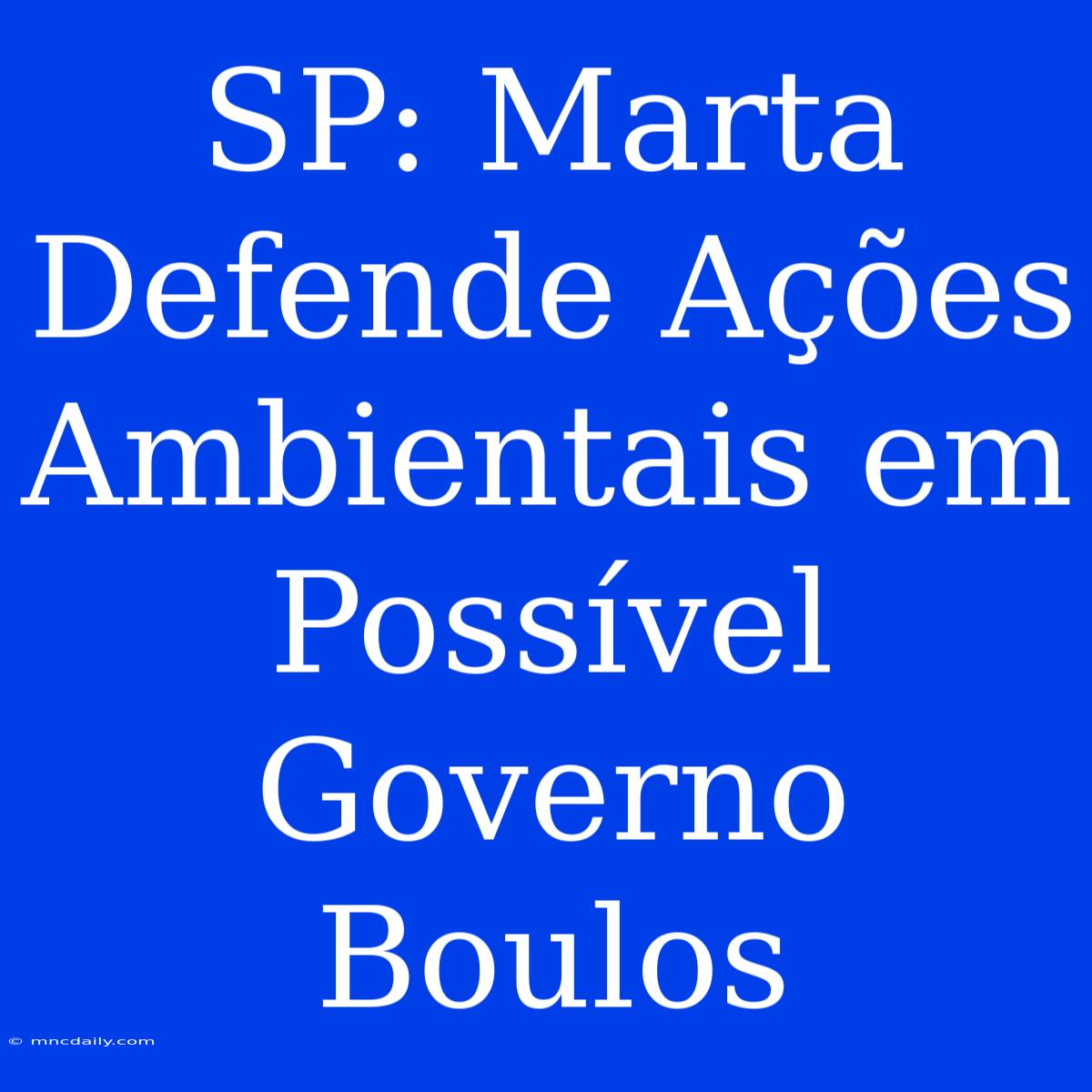 SP: Marta Defende Ações Ambientais Em Possível Governo Boulos