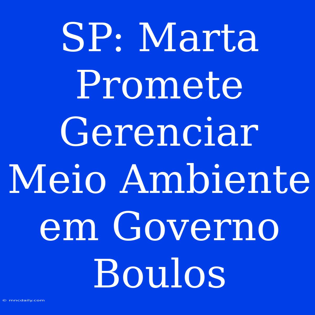 SP: Marta Promete Gerenciar Meio Ambiente Em Governo Boulos