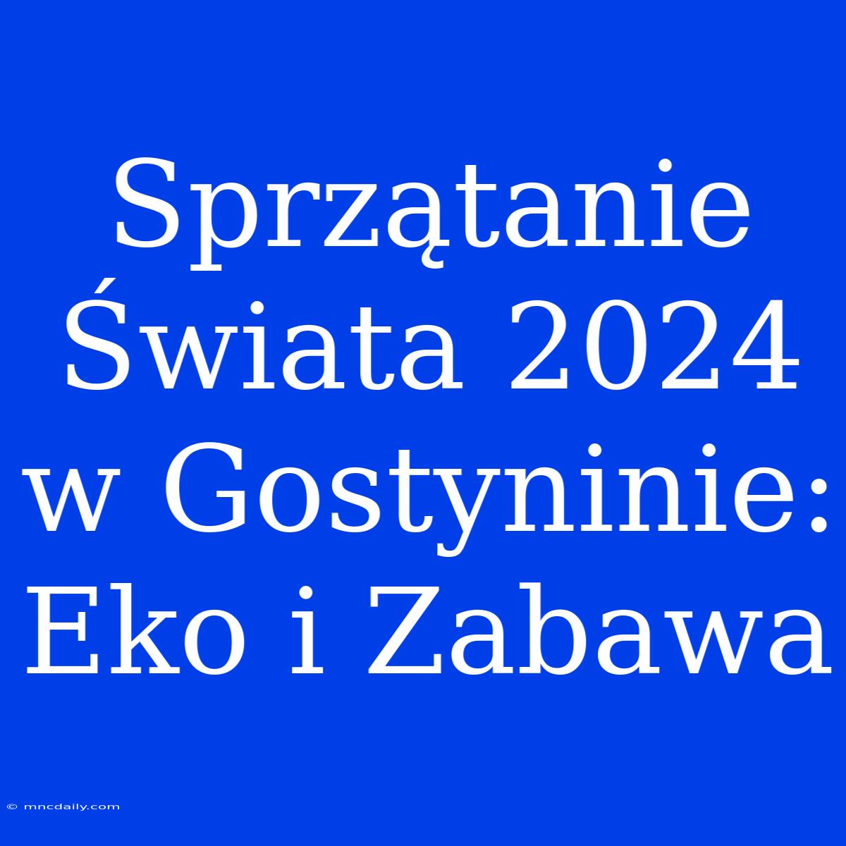 Sprzątanie Świata 2024 W Gostyninie: Eko I Zabawa