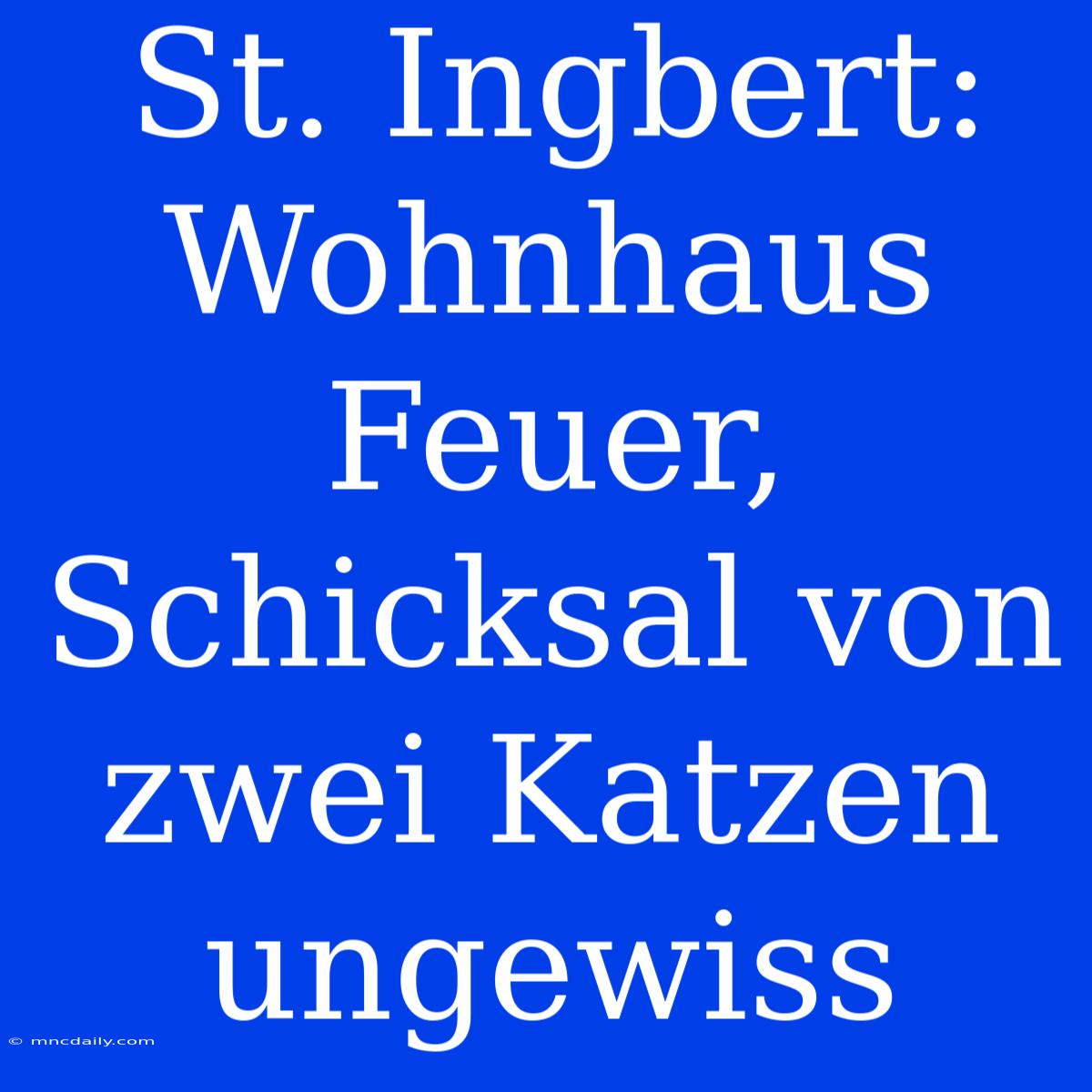 St. Ingbert: Wohnhaus Feuer, Schicksal Von Zwei Katzen Ungewiss