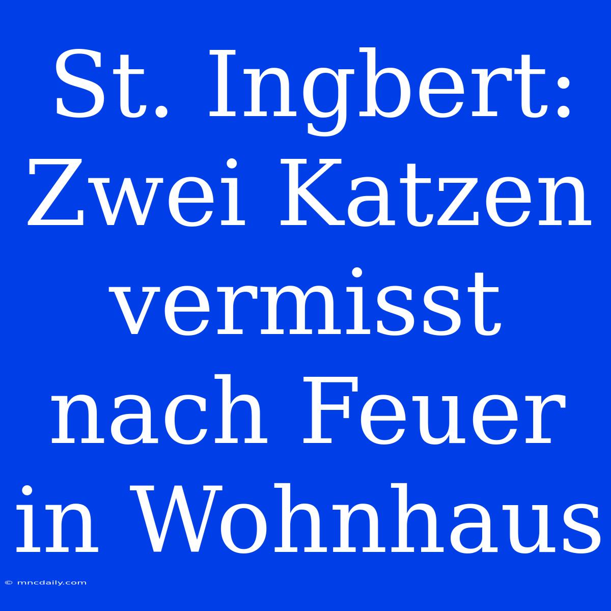 St. Ingbert: Zwei Katzen Vermisst Nach Feuer In Wohnhaus 