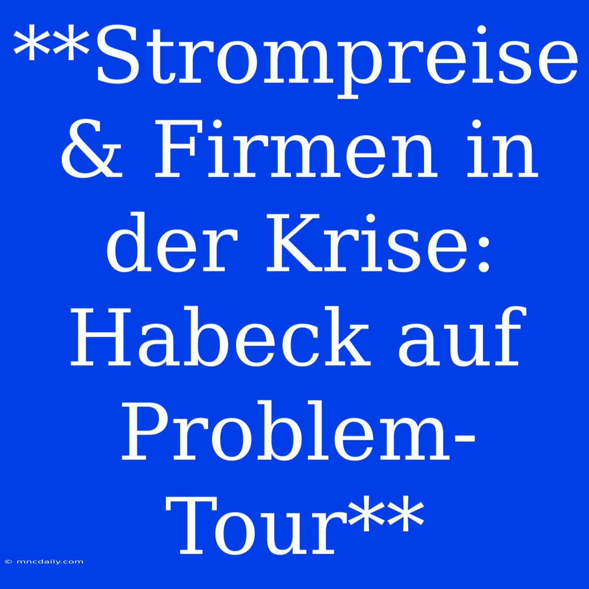 **Strompreise & Firmen In Der Krise: Habeck Auf Problem-Tour**