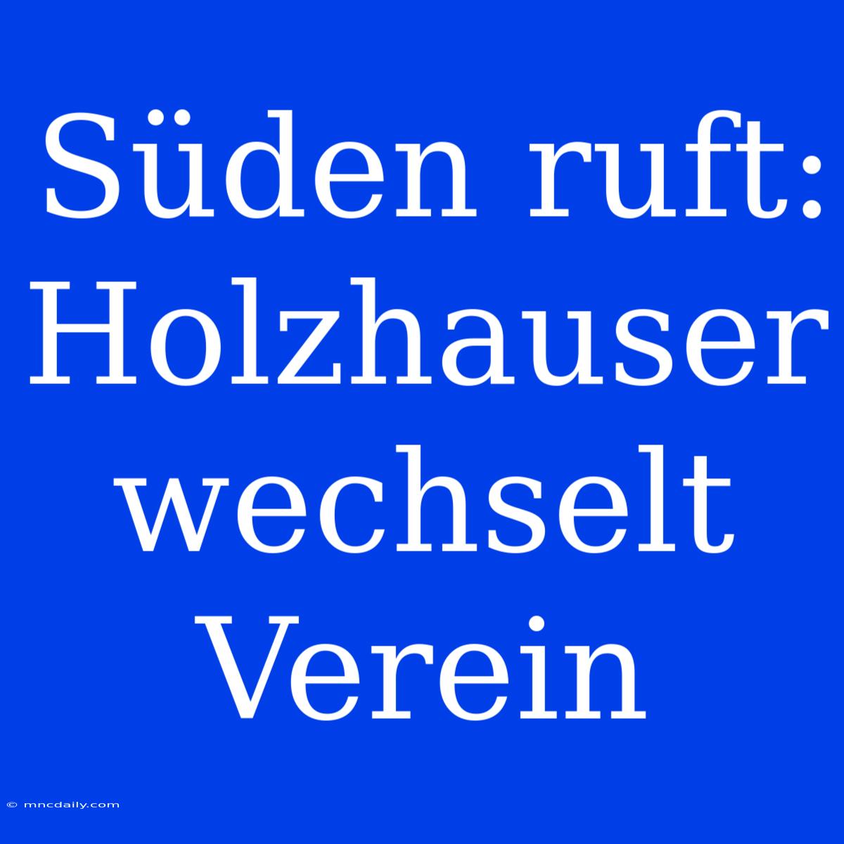 Süden Ruft: Holzhauser Wechselt Verein