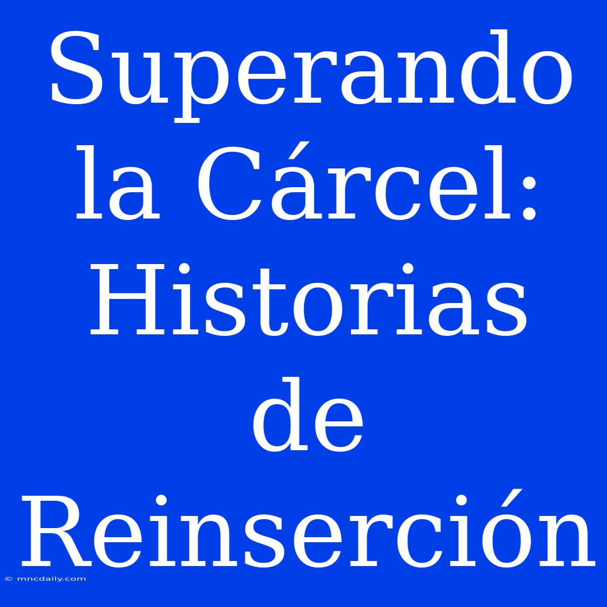 Superando La Cárcel: Historias De Reinserción 