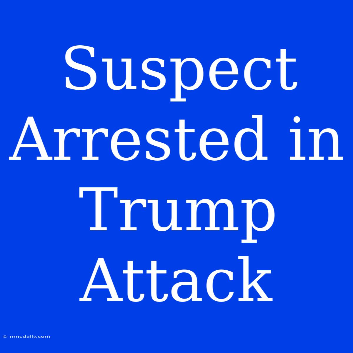 Suspect Arrested In Trump Attack