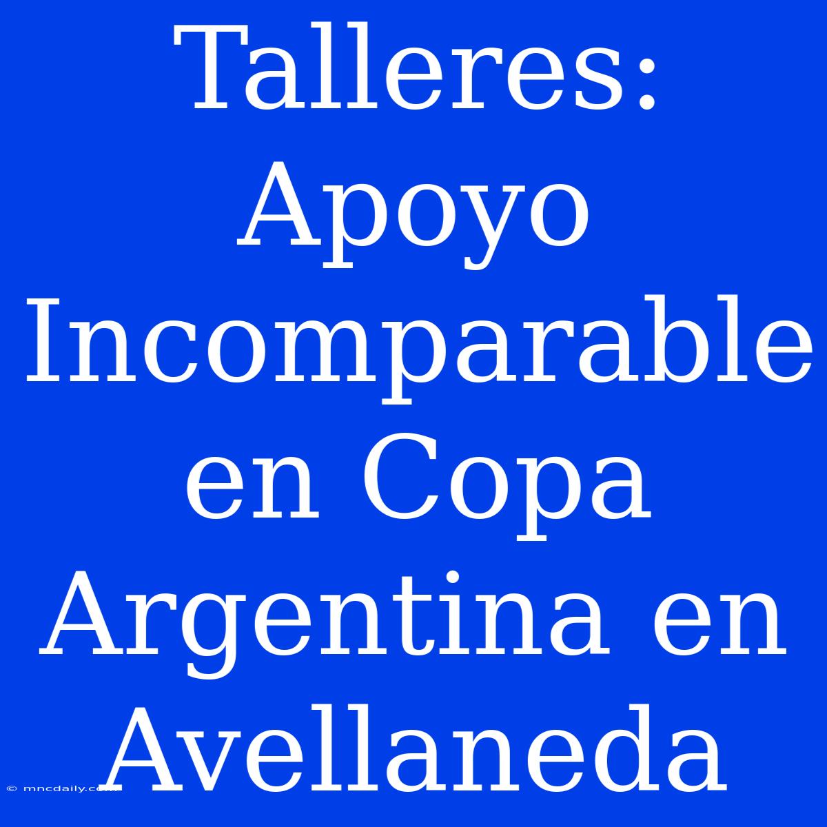 Talleres: Apoyo Incomparable En Copa Argentina En Avellaneda