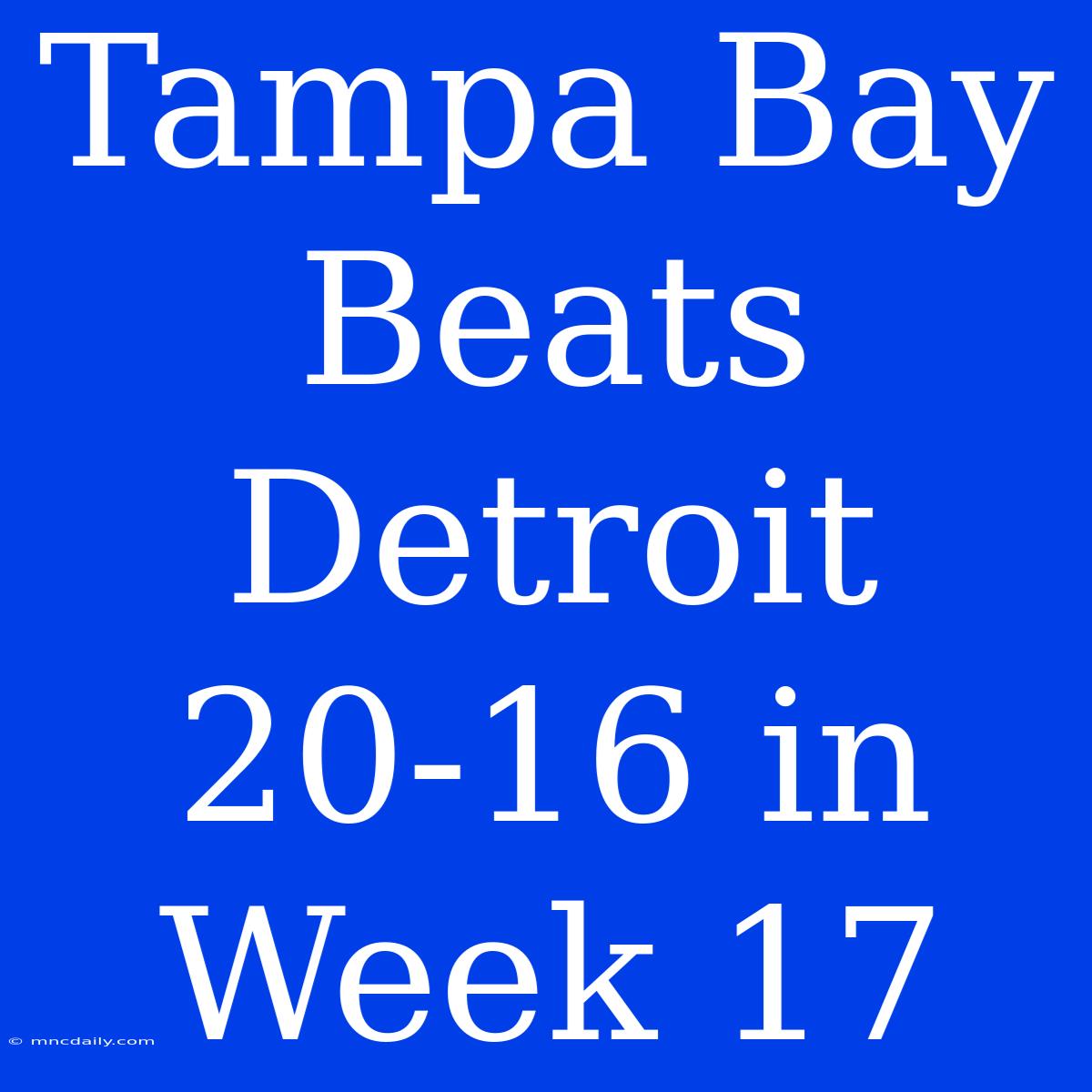 Tampa Bay Beats Detroit 20-16 In Week 17