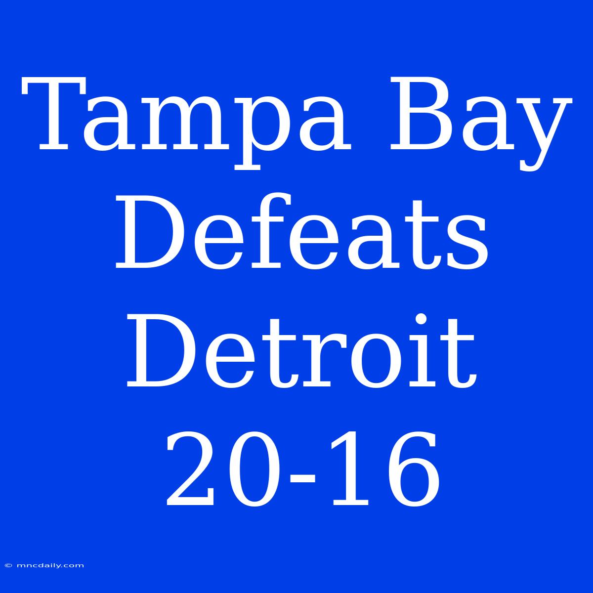 Tampa Bay Defeats Detroit 20-16