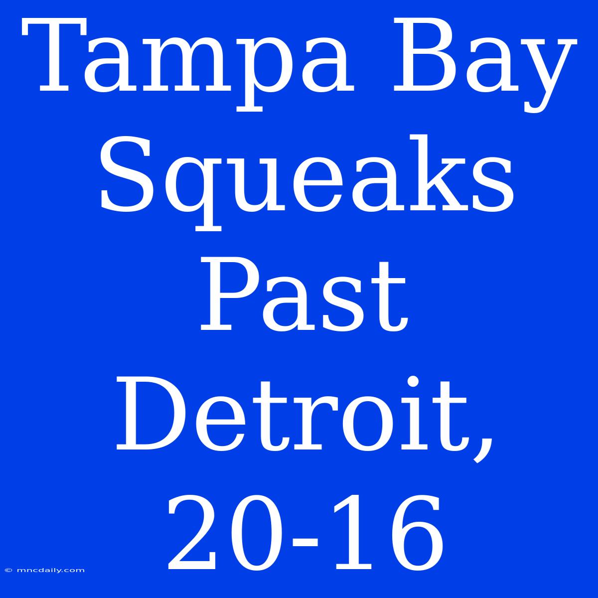 Tampa Bay Squeaks Past Detroit, 20-16