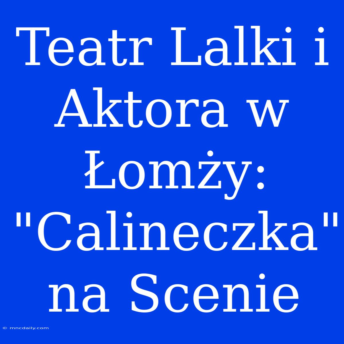 Teatr Lalki I Aktora W Łomży: 