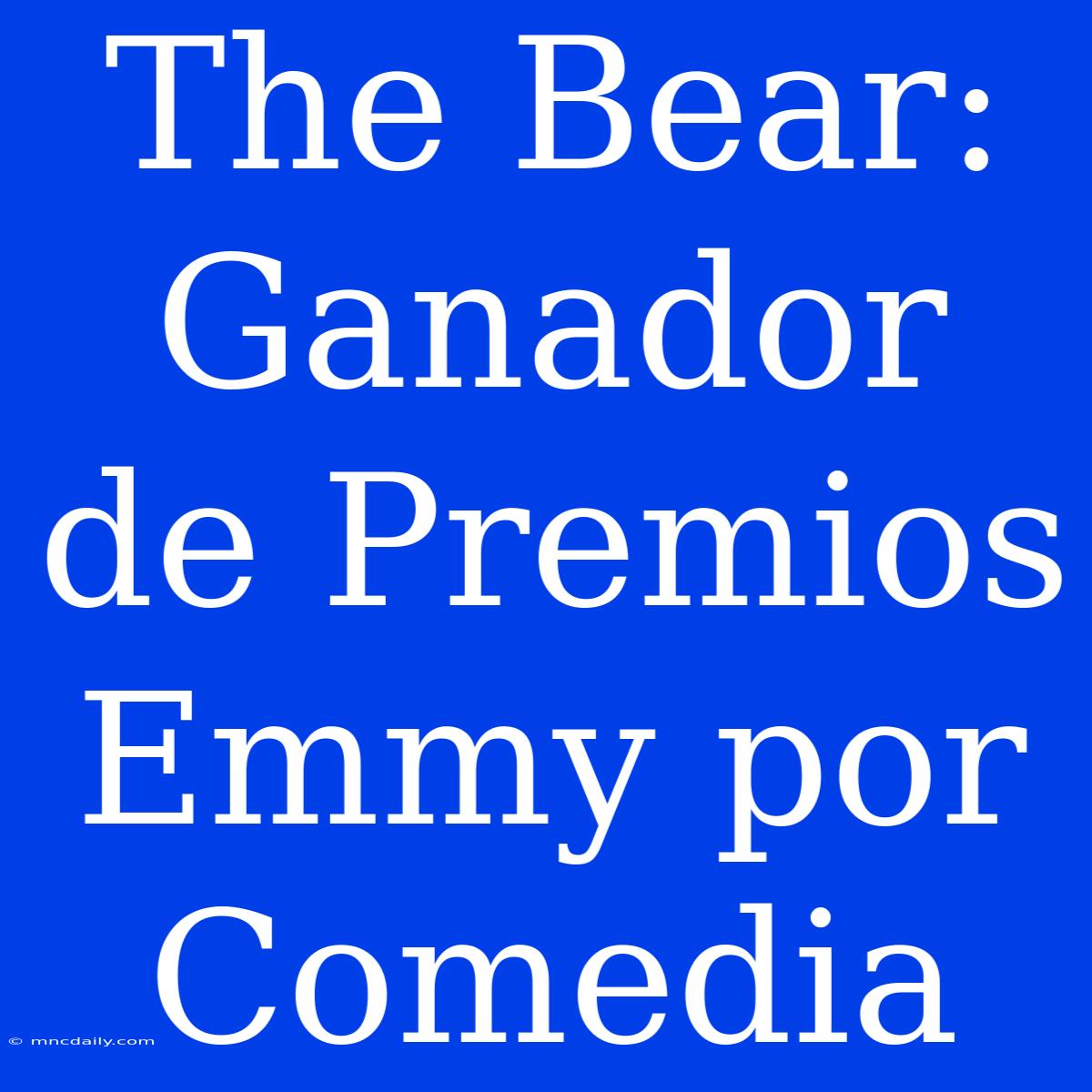 The Bear: Ganador De Premios Emmy Por Comedia