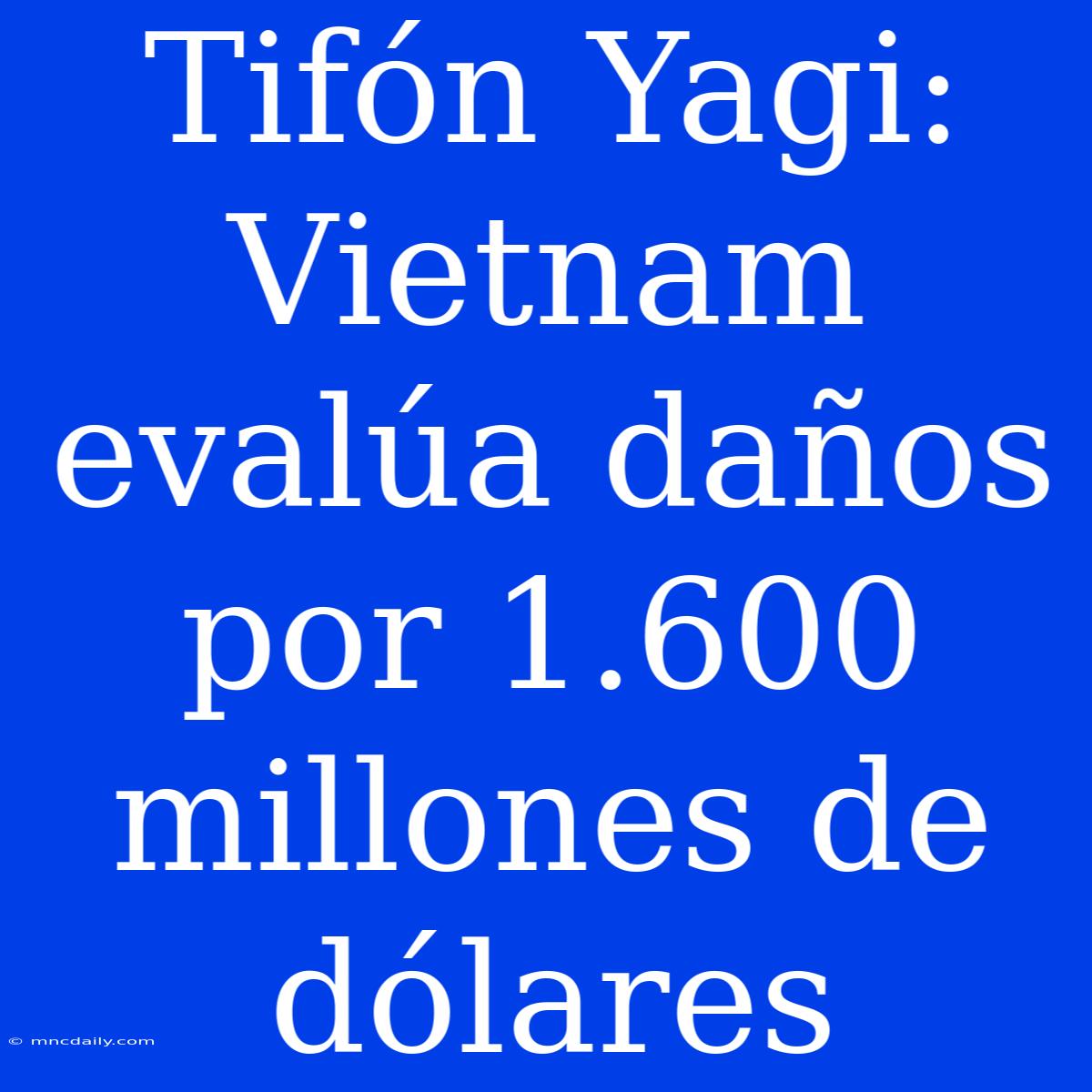 Tifón Yagi: Vietnam Evalúa Daños Por 1.600 Millones De Dólares