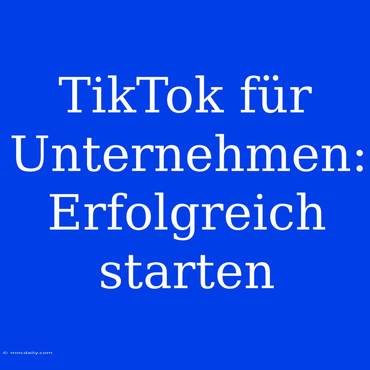 TikTok Für Unternehmen:  Erfolgreich Starten