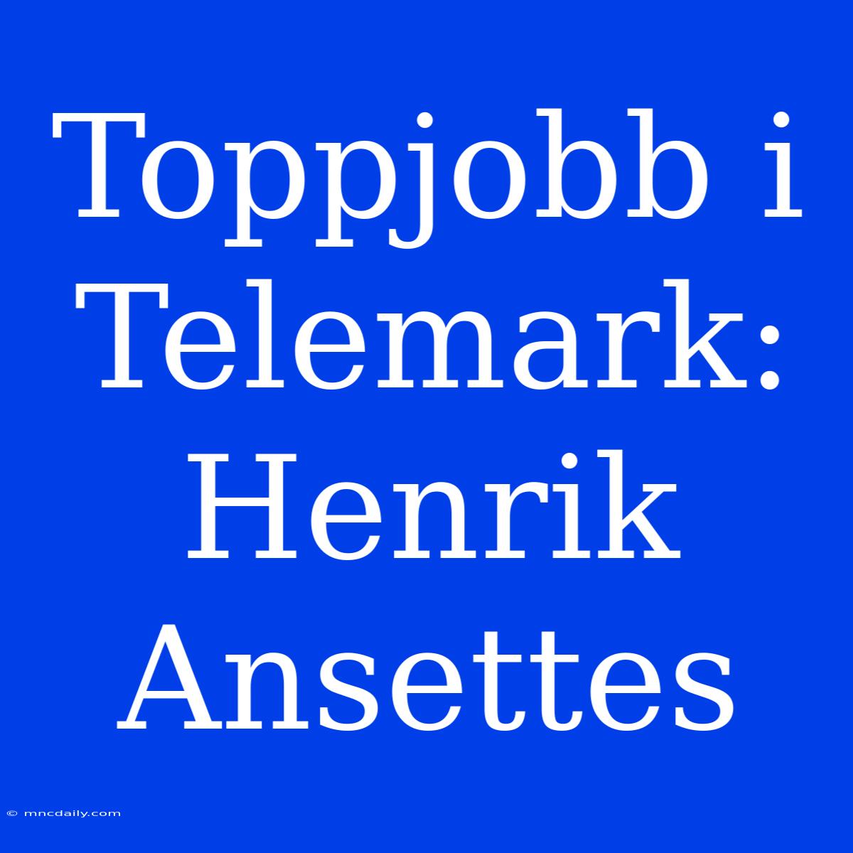 Toppjobb I Telemark: Henrik Ansettes