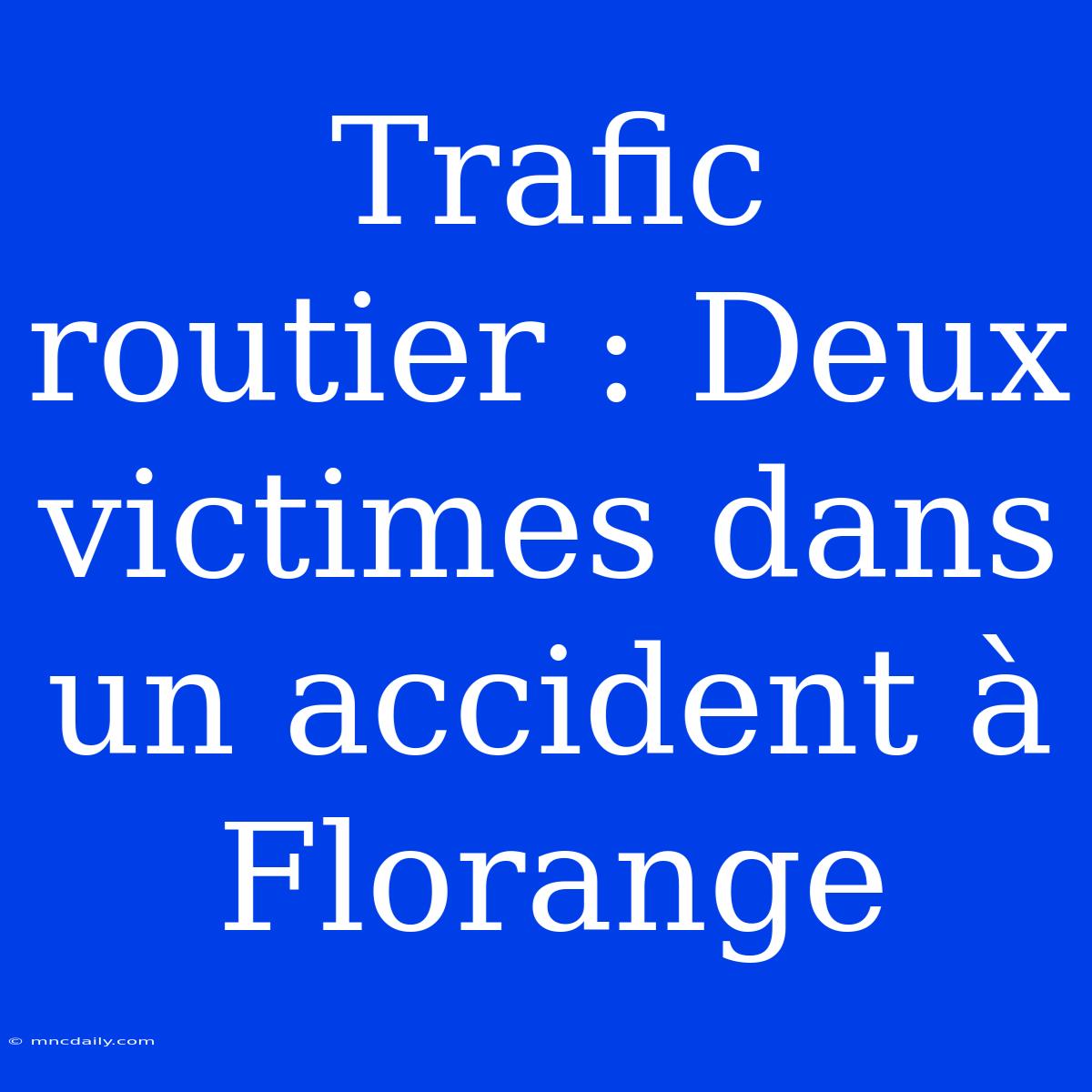 Trafic Routier : Deux Victimes Dans Un Accident À Florange