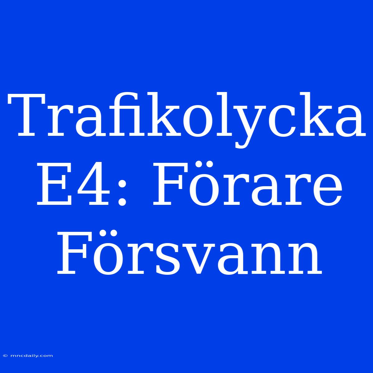 Trafikolycka E4: Förare Försvann