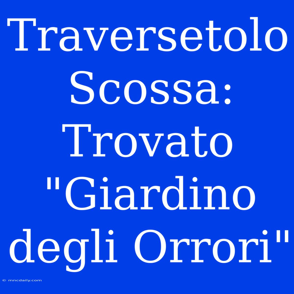 Traversetolo Scossa: Trovato 