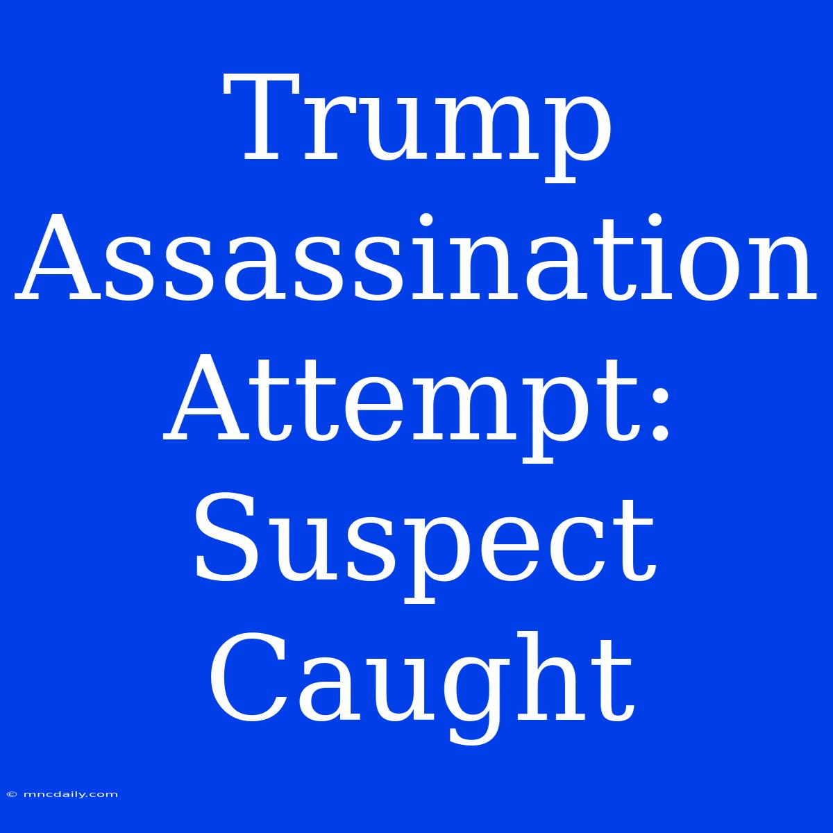 Trump Assassination Attempt: Suspect Caught