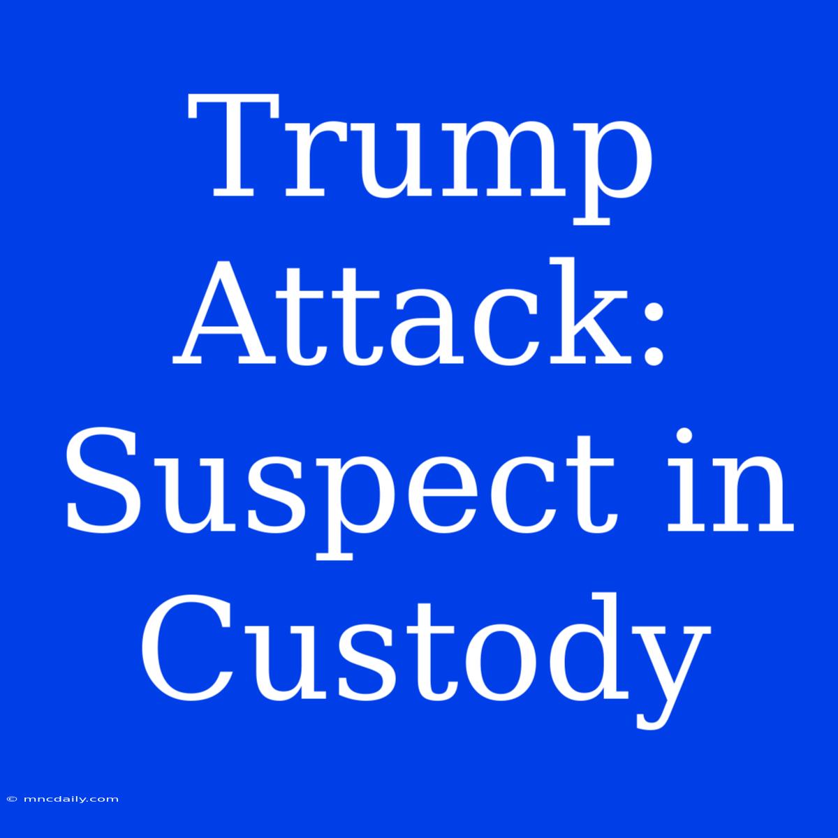 Trump Attack: Suspect In Custody