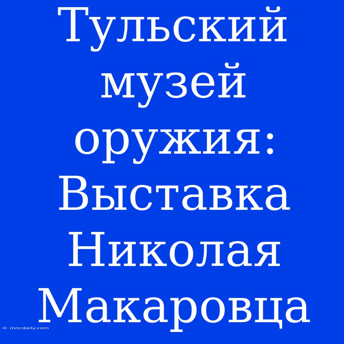 Тульский Музей Оружия: Выставка Николая Макаровца