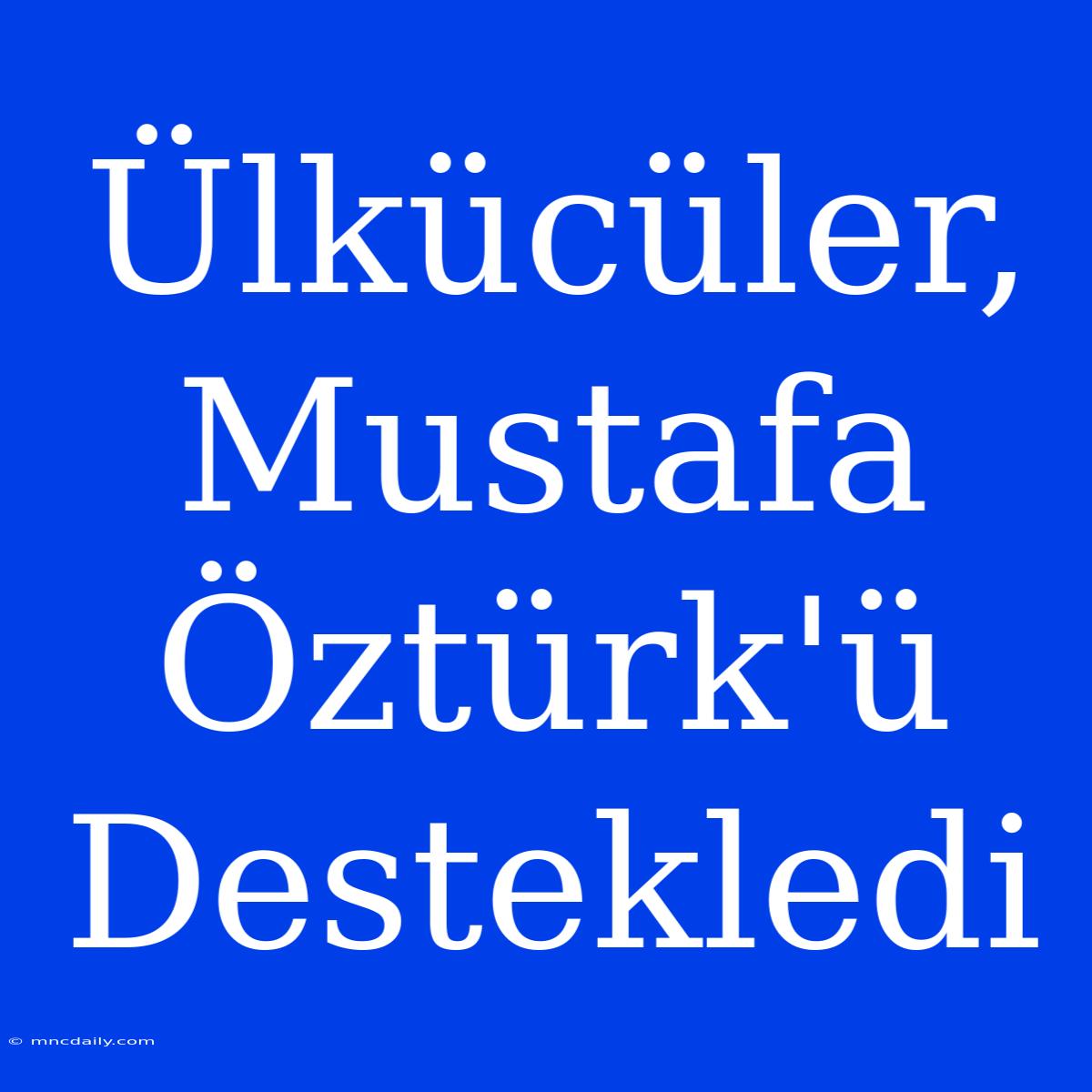 Ülkücüler, Mustafa Öztürk'ü Destekledi