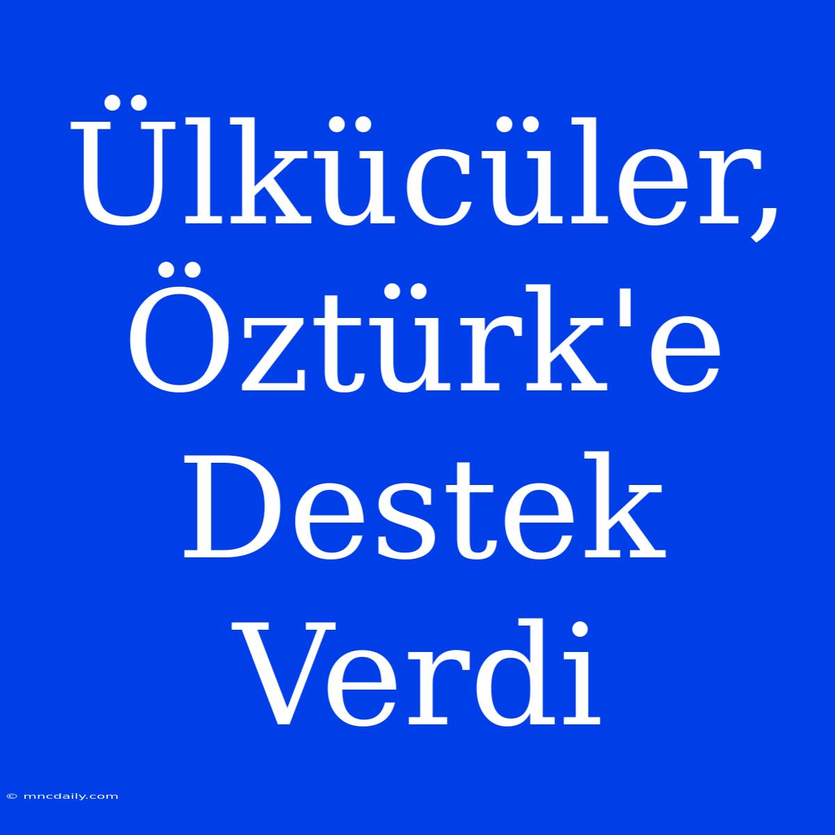 Ülkücüler, Öztürk'e Destek Verdi