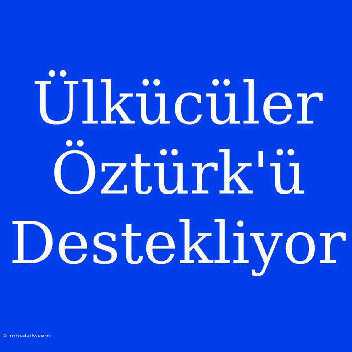 Ülkücüler Öztürk'ü Destekliyor