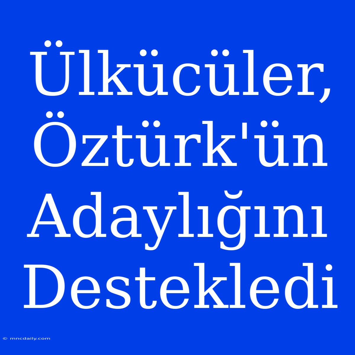 Ülkücüler, Öztürk'ün Adaylığını Destekledi 