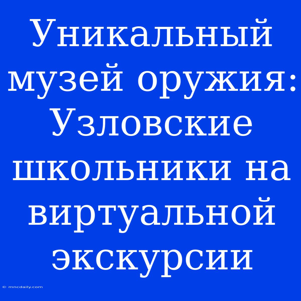 Уникальный Музей Оружия: Узловские Школьники На Виртуальной Экскурсии