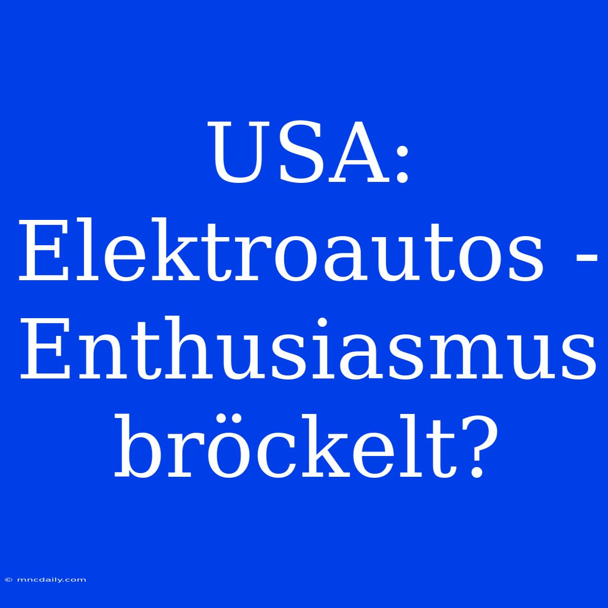 USA: Elektroautos - Enthusiasmus Bröckelt?