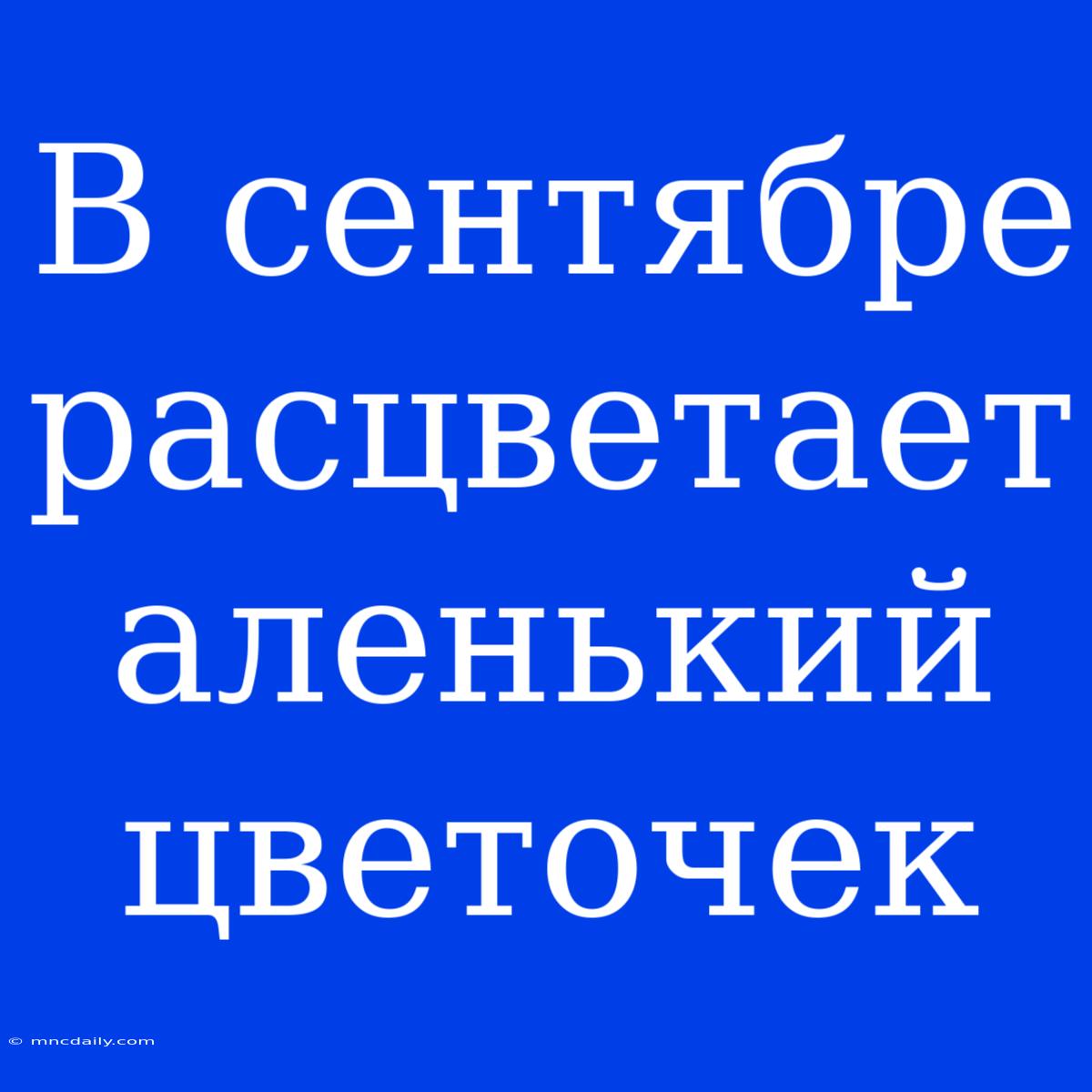 В Сентябре Расцветает Аленький Цветочек