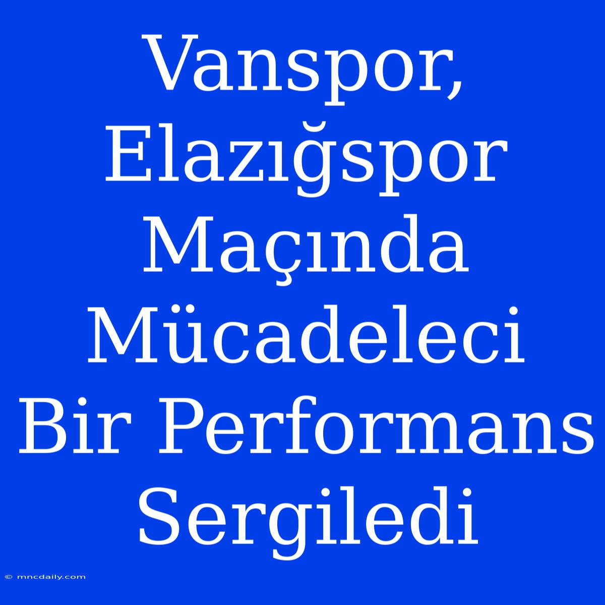 Vanspor, Elazığspor Maçında Mücadeleci Bir Performans Sergiledi