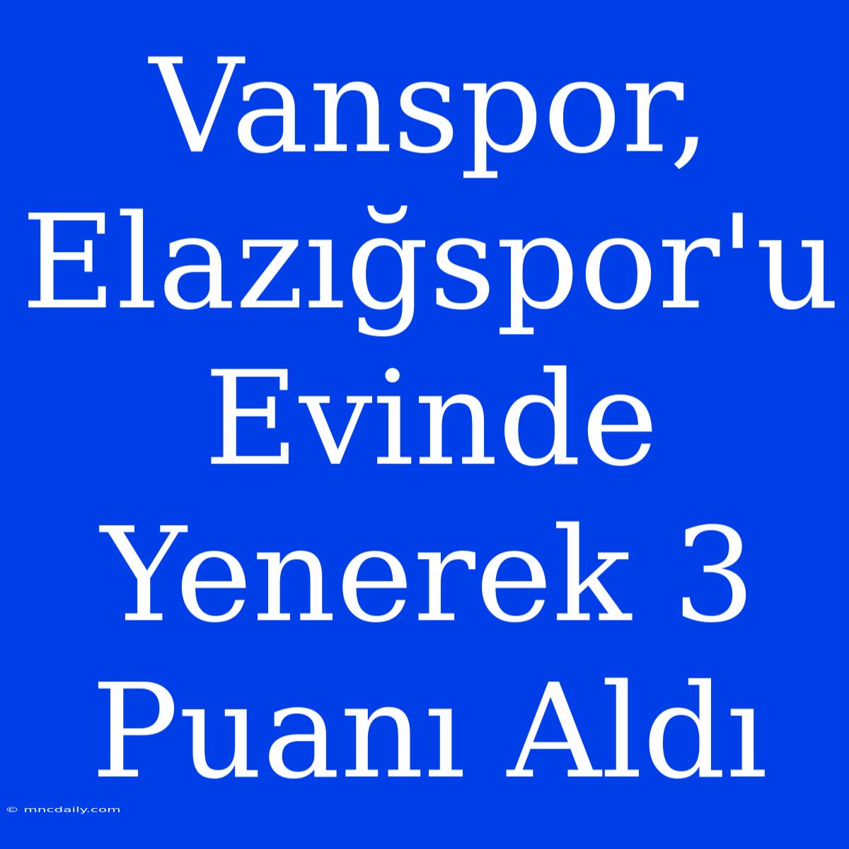 Vanspor, Elazığspor'u Evinde Yenerek 3 Puanı Aldı