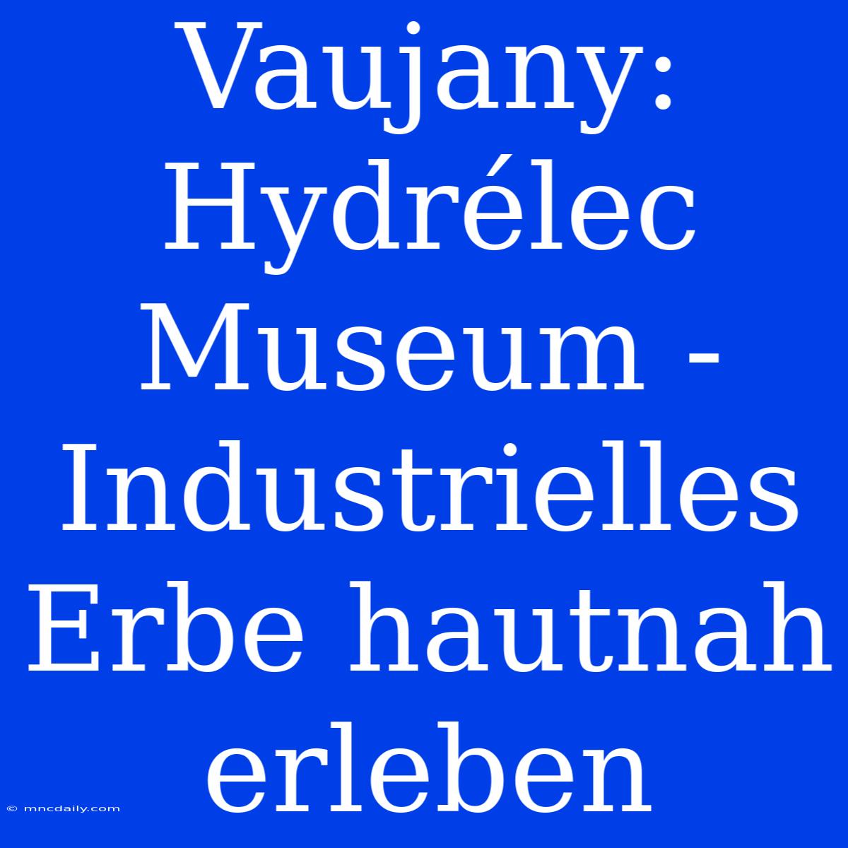 Vaujany: Hydrélec Museum - Industrielles Erbe Hautnah Erleben 