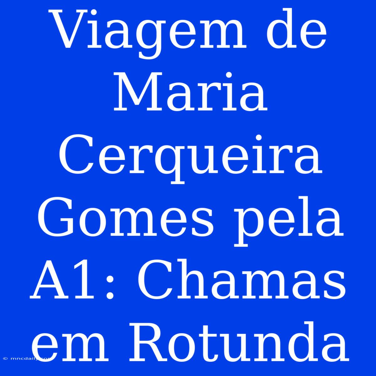 Viagem De Maria Cerqueira Gomes Pela A1: Chamas Em Rotunda