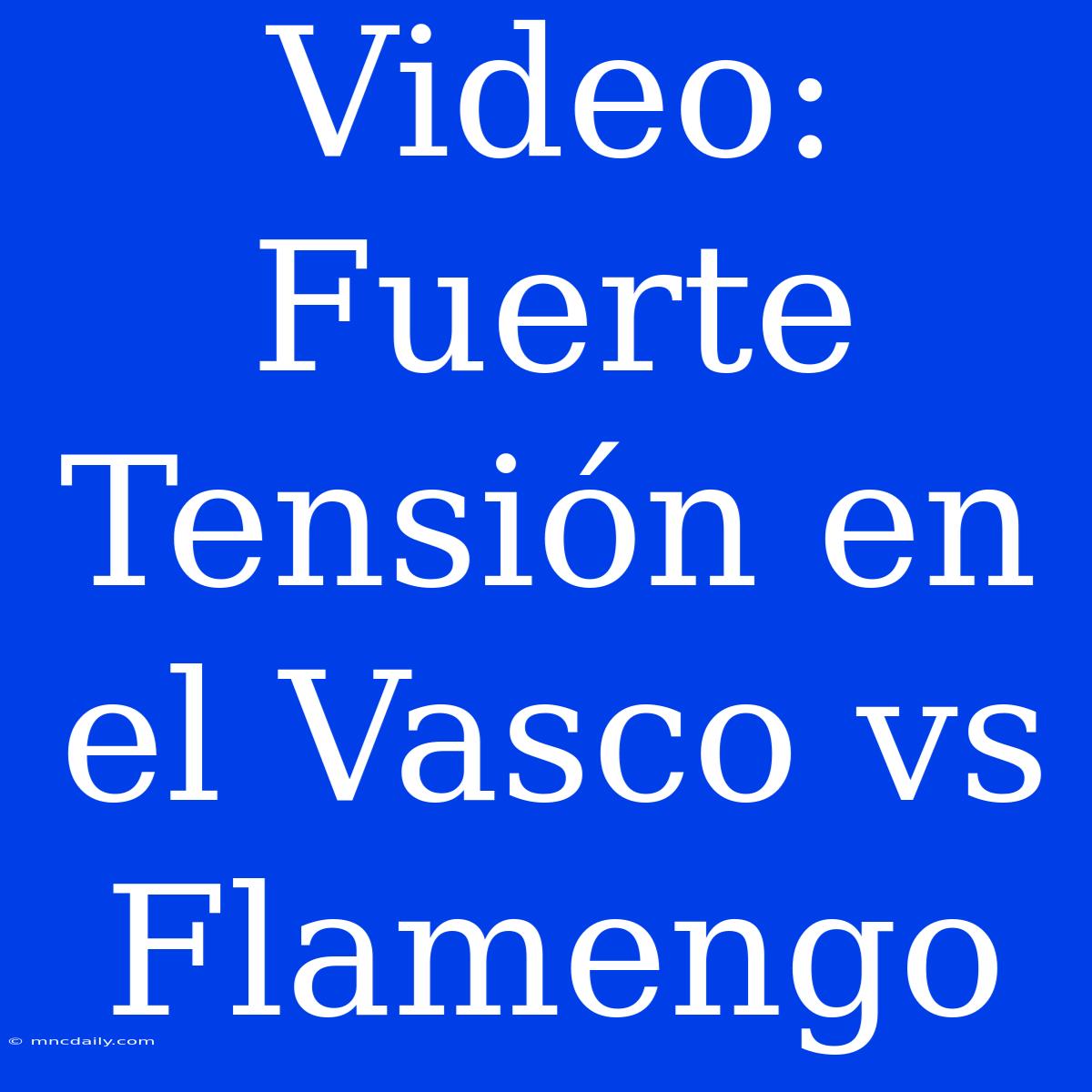 Video: Fuerte Tensión En El Vasco Vs Flamengo