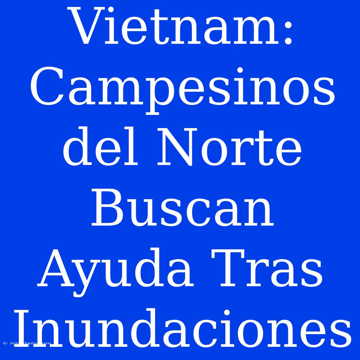 Vietnam: Campesinos Del Norte Buscan Ayuda Tras Inundaciones