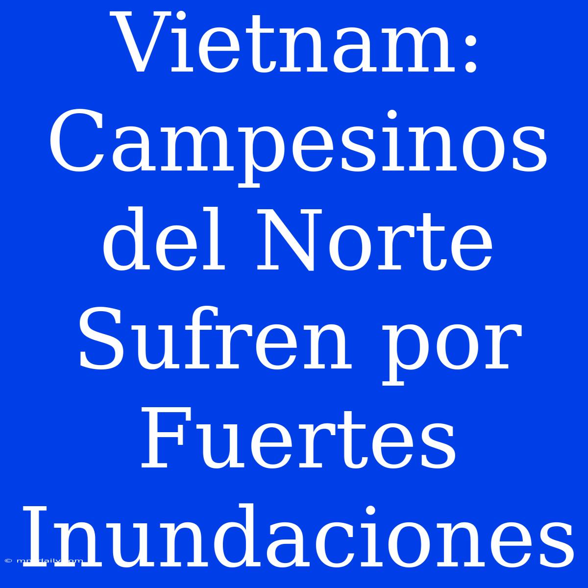 Vietnam: Campesinos Del Norte Sufren Por Fuertes Inundaciones