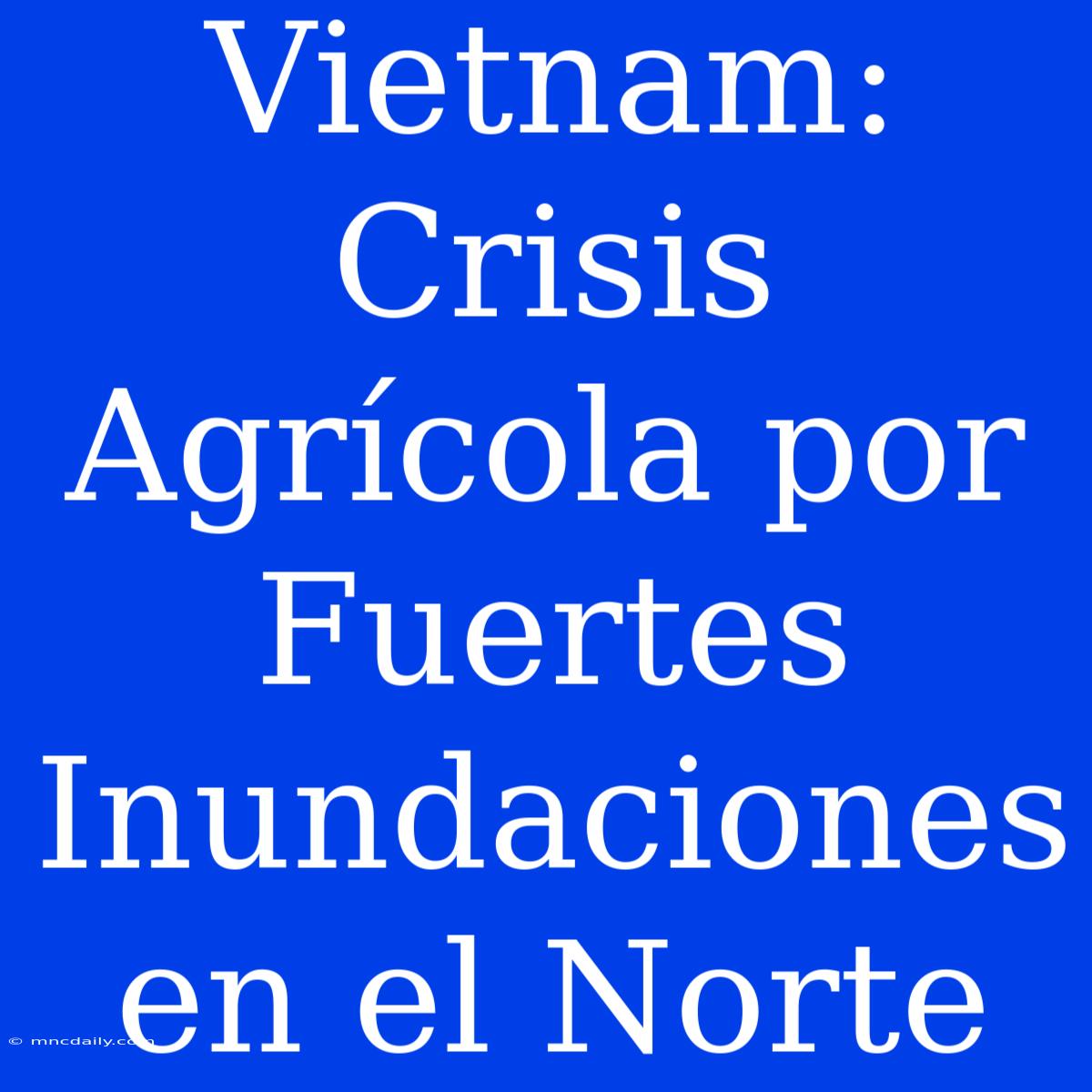 Vietnam: Crisis Agrícola Por Fuertes Inundaciones En El Norte 