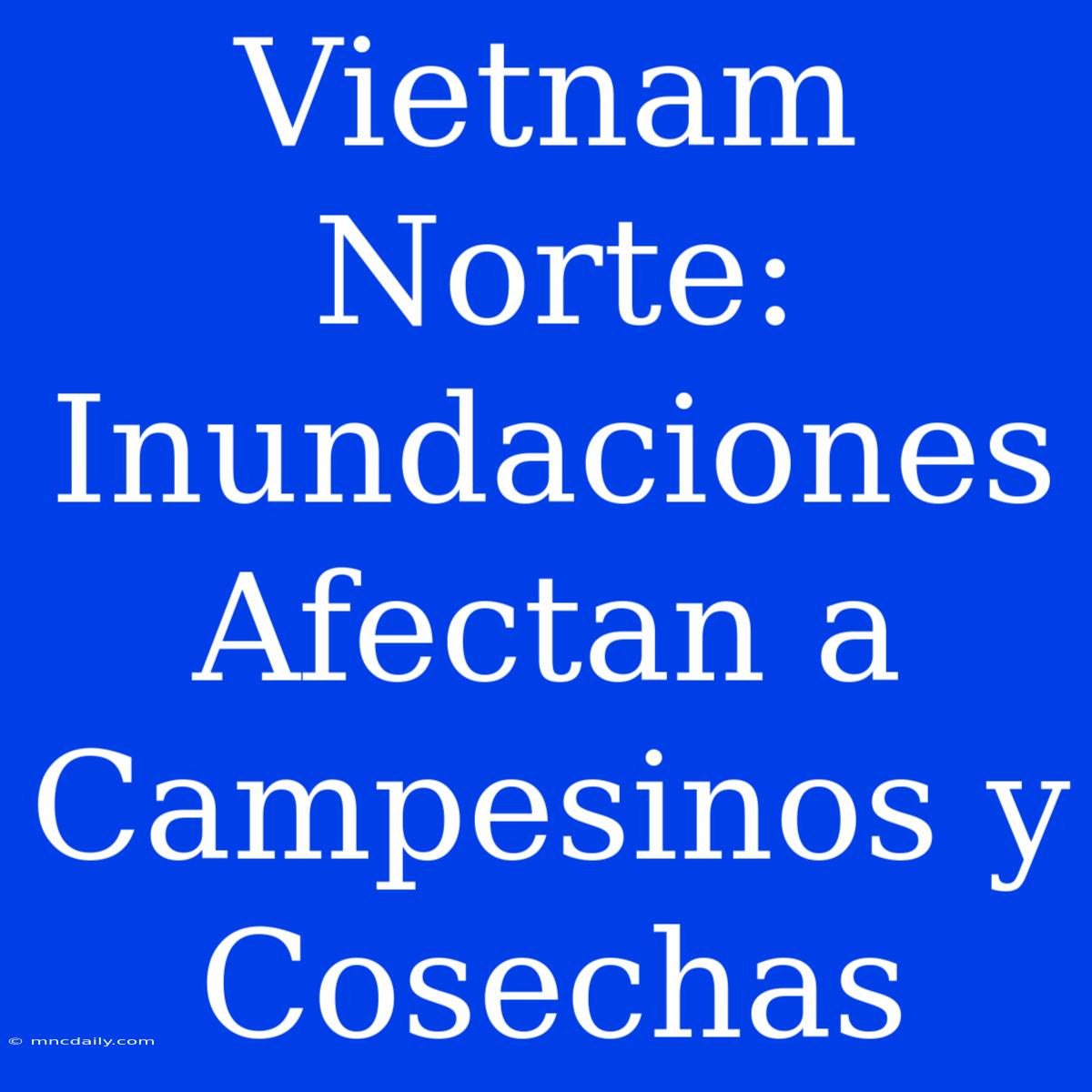 Vietnam Norte: Inundaciones Afectan A Campesinos Y Cosechas