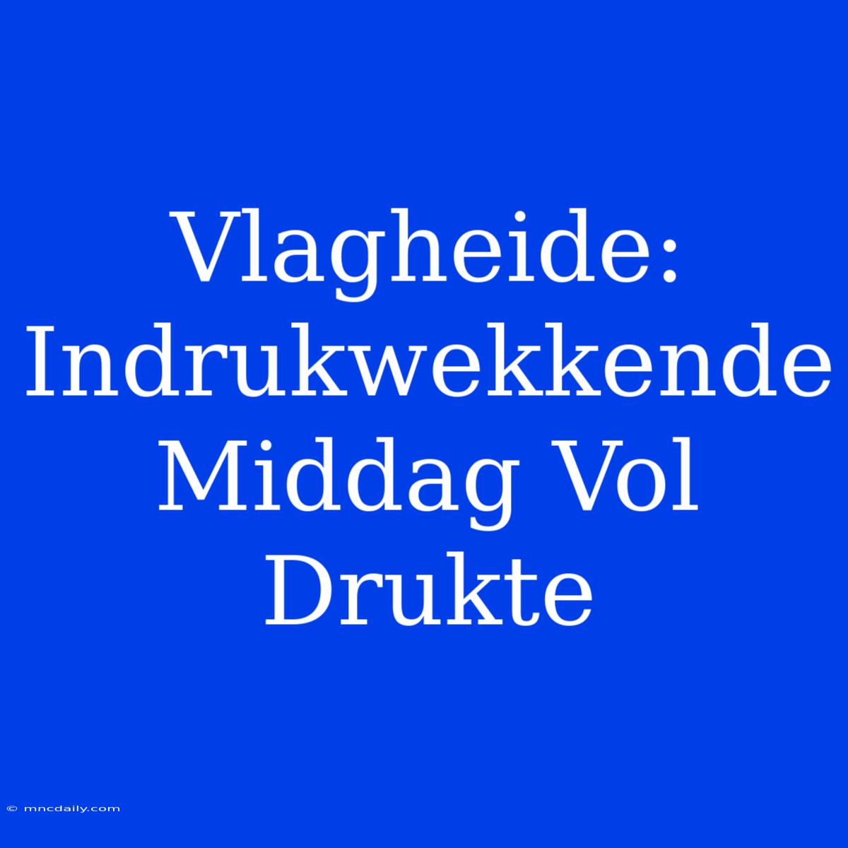 Vlagheide: Indrukwekkende Middag Vol Drukte