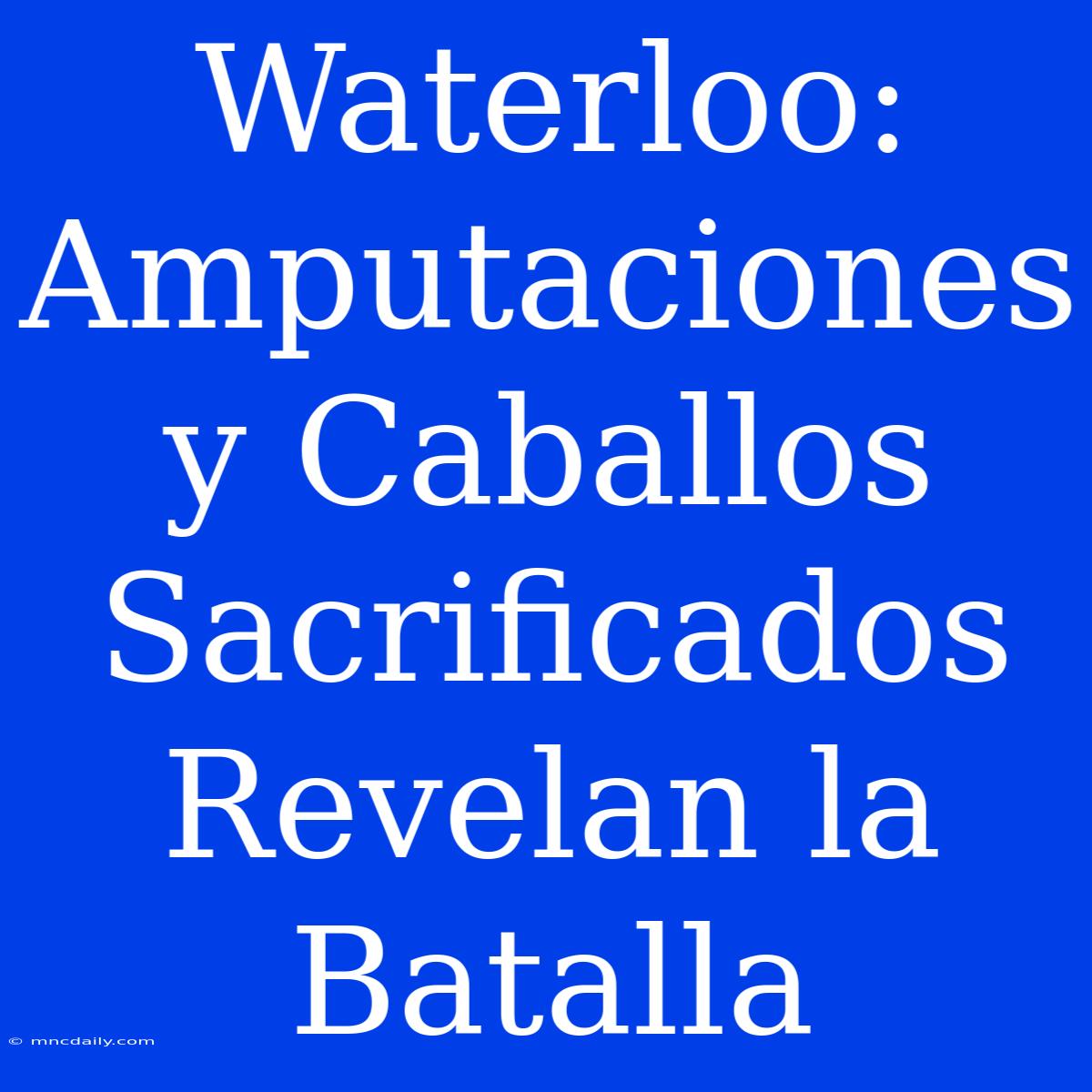 Waterloo: Amputaciones Y Caballos Sacrificados Revelan La Batalla