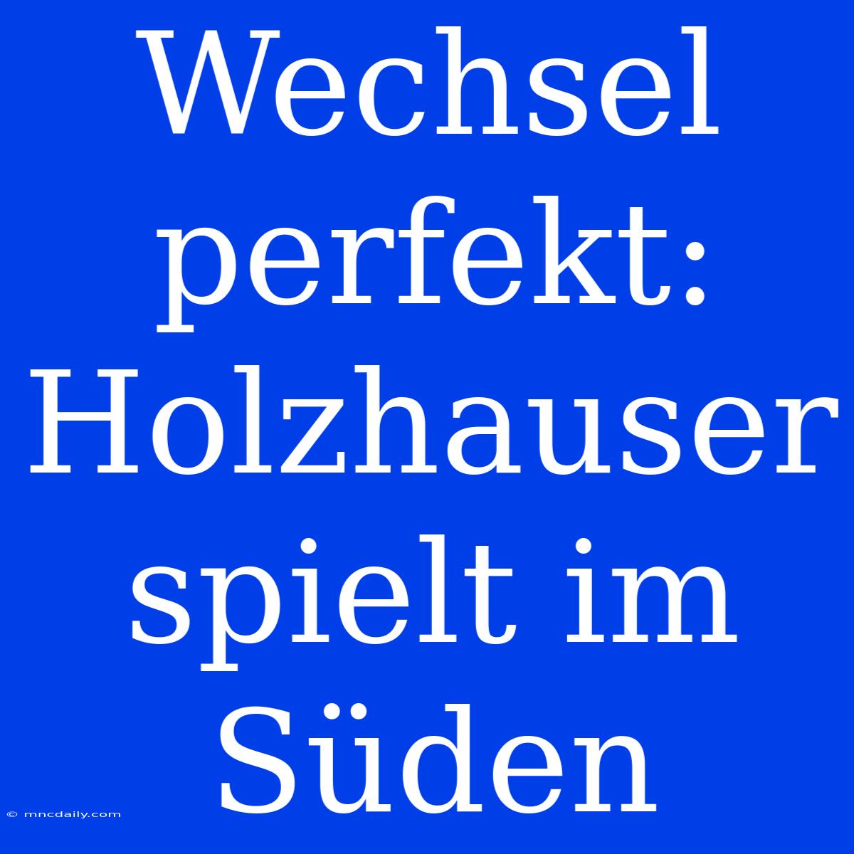 Wechsel Perfekt: Holzhauser Spielt Im Süden