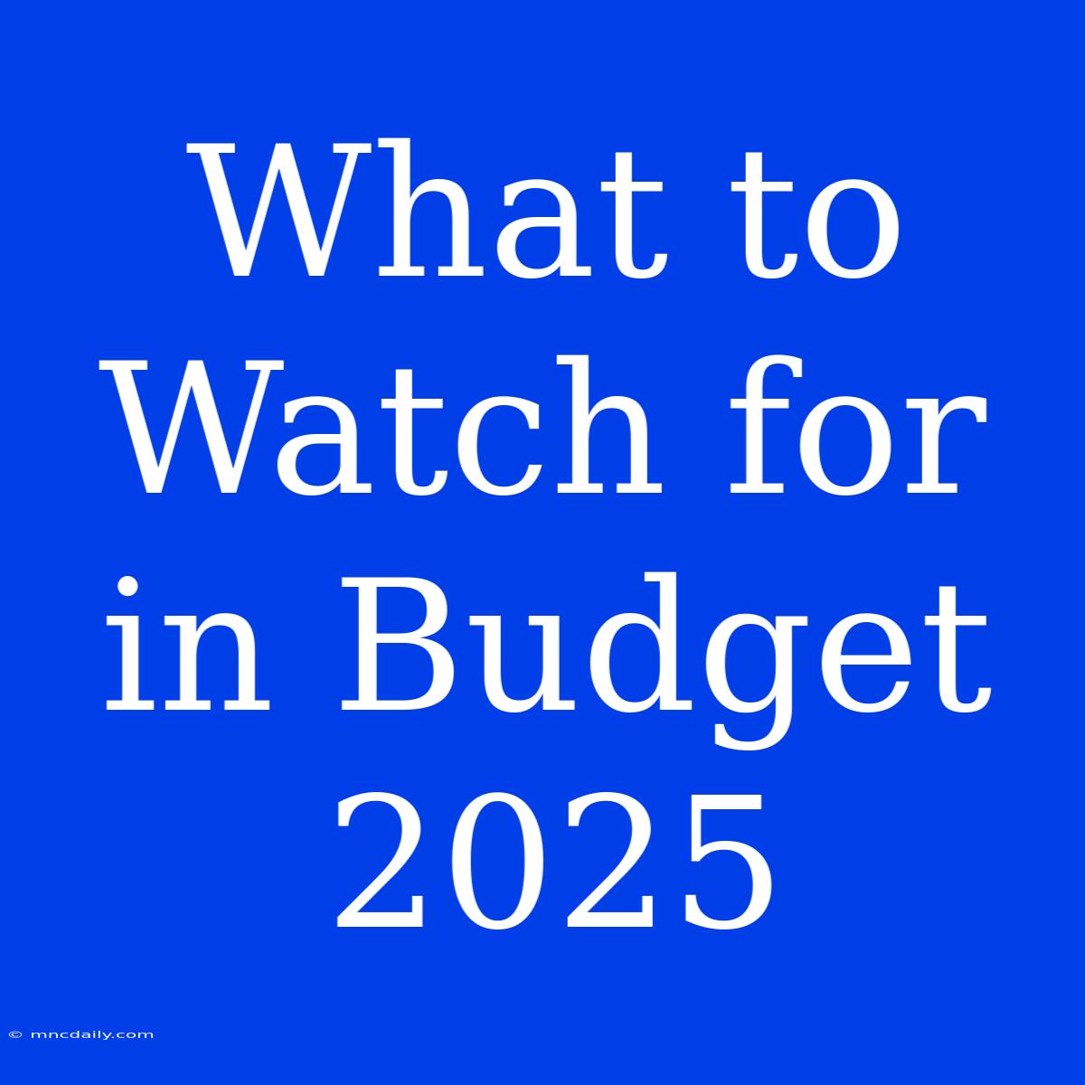 What To Watch For In Budget 2025